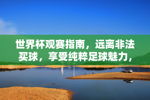 世界杯观赛指南，远离非法买球，享受纯粹足球魅力，世界杯观赛指南，远离非法，尽享纯粹足球魅力