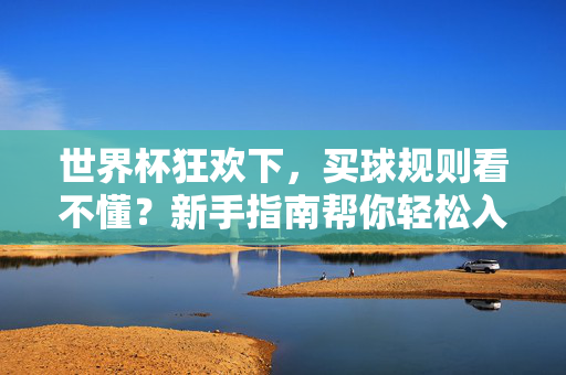 世界杯狂欢下，买球规则看不懂？新手指南帮你轻松入门，世界杯买球规则，新手轻松入门指南