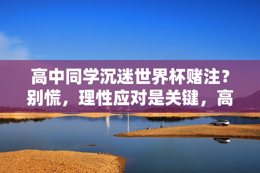 高中同学沉迷世界杯赌注?别慌,理性应对是关键,高中同学沉迷世界杯赌注?理性应对是关键