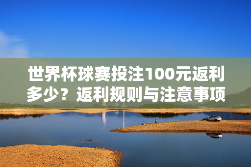 世界杯球赛投注100元返利多少?返利规则与注意事项全解析,世界杯球赛投注返利全解析,100元返多少及规则注意事项