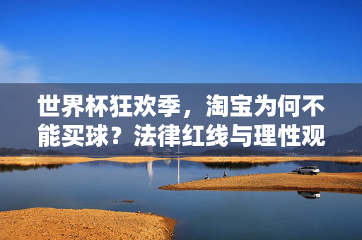 世界杯狂欢季,淘宝为何不能买球?法律红线与理性观赛指南,世界杯狂欢季,淘宝禁购球的法律红线与理性观赛指南