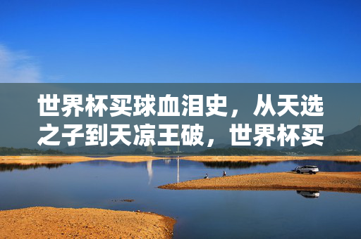世界杯买球血泪史，从天选之子到天凉王破，世界杯买球血泪史，从天选之子到天凉王破