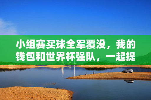 小组赛买球全军覆没，我的钱包和世界杯强队，一起提前下班，小组赛买球全军覆没，钱包与世界杯强队一同提前下班