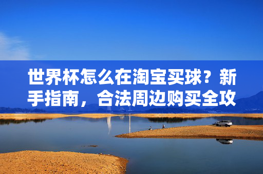 世界杯怎么在淘宝买球？新手指南，合法周边购买全攻略，世界杯淘宝周边购买新手指南，合法全攻略