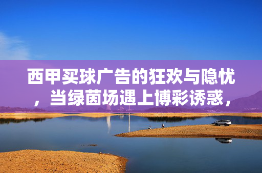 西甲买球广告的狂欢与隐忧，当绿茵场遇上博彩诱惑，西甲买球广告，博彩诱惑下的狂欢与隐忧