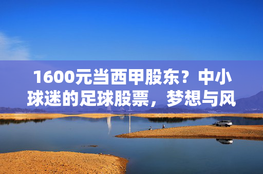 1600元当西甲股东?中小球迷的足球股票,梦想与风险并存,1600元当西甲股东?中小球迷的足球股票,梦想与风险并存