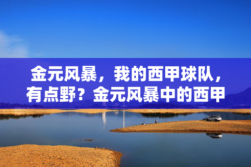 金元风暴，我的西甲球队，有点野？金元风暴中的西甲野球队