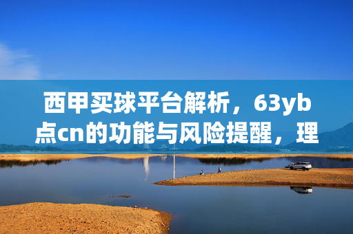 西甲买球平台解析，63yb点cn的功能与风险提醒，理性投注才是关键，西甲买球平台63yb点cn功能与风险解析，理性投注是关键
