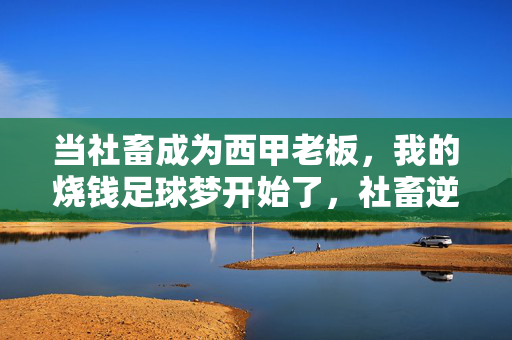 当社畜成为西甲老板,我的烧钱足球梦开始了,社畜逆袭西甲老板,我的烧钱足球梦