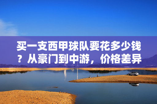 买一支西甲球队要花多少钱？从豪门到中游，价格差异背后的秘密，西甲球队价格差异背后，豪门与中游的门槛
