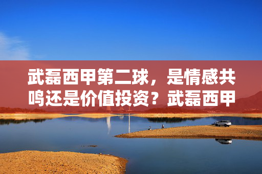 武磊西甲第二球，是情感共鸣还是价值投资？武磊西甲第二球，情感共鸣还是价值投资？