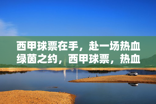 西甲球票在手，赴一场热血绿茵之约，西甲球票，热血绿茵之约