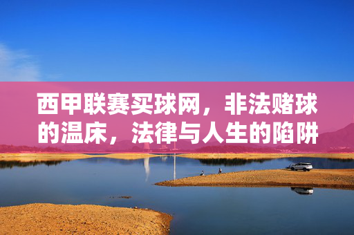 西甲联赛买球网，非法赌球的温床，法律与人生的陷阱，西甲联赛买球网，非法赌球温床与法律人生陷阱