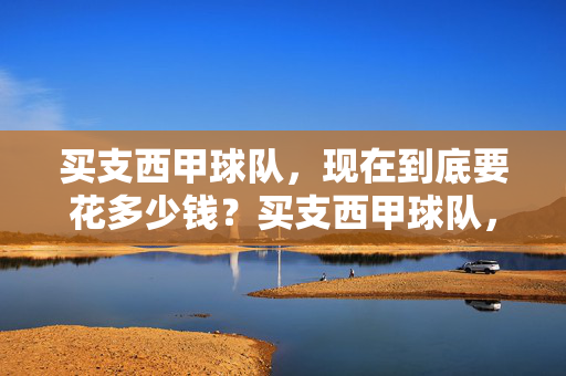 买支西甲球队，现在到底要花多少钱？买支西甲球队，现在到底要花多少钱？