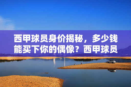 西甲球员身价揭秘，多少钱能买下你的偶像？西甲球员身价揭秘，买下你的偶像要多少钱？