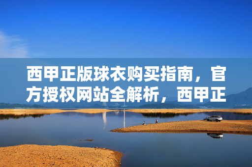 西甲正版球衣购买指南，官方授权网站全解析，西甲正版球衣购买指南，官方授权网站全解析