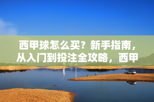 西甲球怎么买？新手指南，从入门到投注全攻略，西甲球怎么买，新手从入门到投注全攻略
