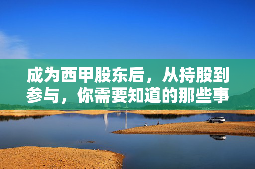 成为西甲股东后，从持股到参与，你需要知道的那些事，西甲股东持股到参与指南