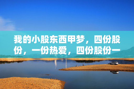 我的小股东西甲梦,四份股份,一份热爱,四份股份一份热爱,我的小股东西甲梦
