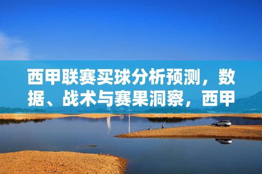 西甲联赛买球分析预测，数据、战术与赛果洞察，西甲联赛买球分析预测，数据、战术与赛果洞察