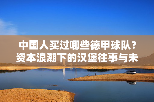 中国人买过哪些德甲球队？资本浪潮下的汉堡往事与未竟之梦，中国人德甲收购史，汉堡往事与资本浪潮下的未竟之梦