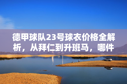 德甲球队23号球衣价格全解析,从拜仁到升班马,哪件最值得入手?德甲23号球衣价格全解析,从拜仁到升班马,哪件最值得入手?