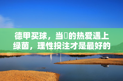 德甲买球，当玥的热爱遇上绿茵，理性投注才是最好的观赛礼，德甲绿茵，玥的热爱与理性投注，最好的观赛礼