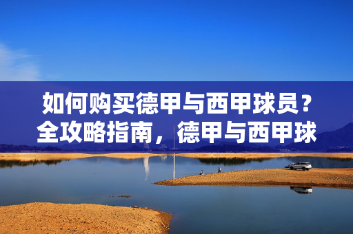如何购买德甲与西甲球员？全攻略指南，德甲与西甲球员购买全攻略