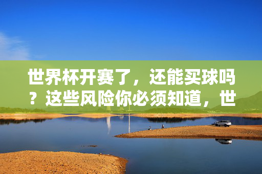 世界杯开赛了,还能买球吗?这些风险你必须知道,世界杯买球风险警示,这些你必须知道