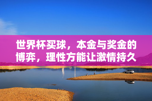 世界杯买球，本金与奖金的博弈，理性方能让激情持久，世界杯买球，本金奖金的博弈，理性让激情持久