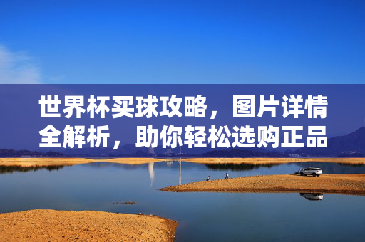世界杯买球攻略，图片详情全解析，助你轻松选购正品足球，世界杯买球攻略，图片全解析助你轻松选购正品足球