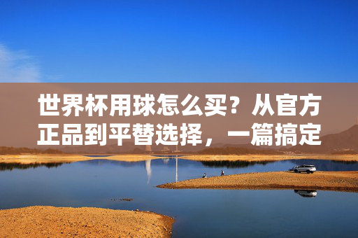 世界杯用球怎么买？从官方正品到平替选择，一篇搞定！世界杯用球购买指南，从官方正品到平替，一篇搞定！