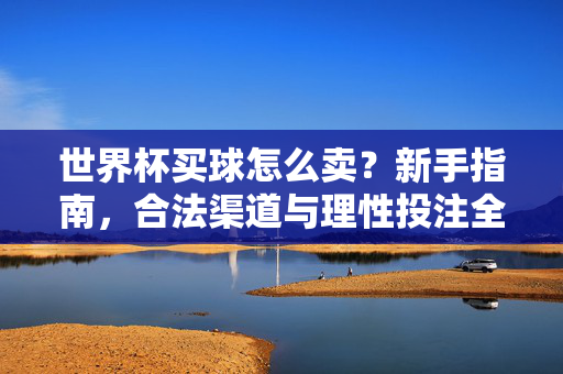 世界杯买球怎么卖？新手指南，合法渠道与理性投注全解析，世界杯买球新手指南，合法渠道与理性投注全解析