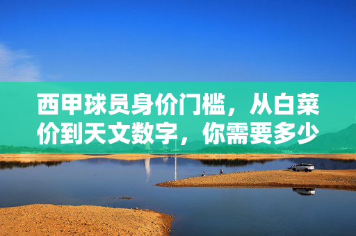 西甲球员身价门槛,从白菜价到天文数字,你需要多少钱?西甲球员身价门槛,从白菜价到天文数字,你需多少?