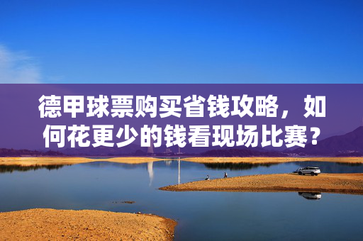 德甲球票购买省钱攻略，如何花更少的钱看现场比赛？德甲球票省钱攻略
