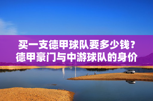 买一支德甲球队要多少钱？德甲豪门与中游球队的身价密码，买一支德甲球队要多少钱？豪门与中游球队的身价密码