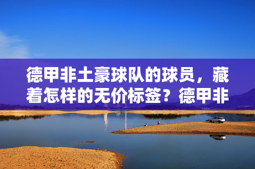 德甲非土豪球队的球员，藏着怎样的无价标签？德甲非土豪球员，被忽视的无价标签