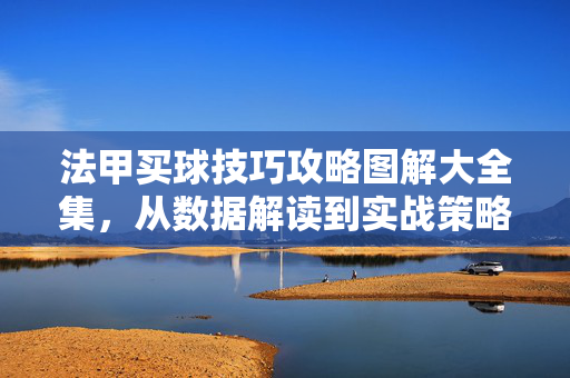 法甲买球技巧攻略图解大全集，从数据解读到实战策略，助你精准投注，法甲买球技巧攻略，数据解读到实战策略助精准投注