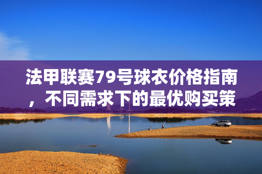 法甲联赛79号球衣价格指南，不同需求下的最优购买策略，法甲79号球衣价格指南，不同需求下的最优购买策略