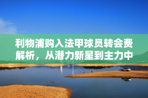 利物浦购入法甲球员转会费解析，从潜力新星到主力中场的性价比之选，利物浦法甲球员转会费解析，从潜力新星到主力中场的性价比之选