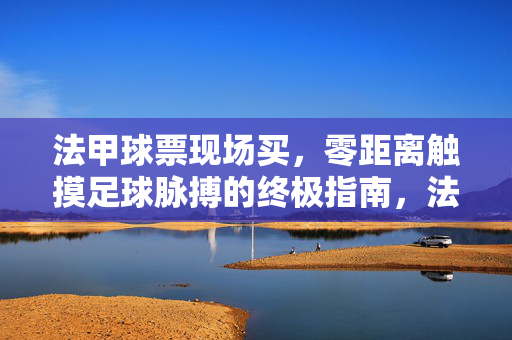 法甲球票现场买,零距离触摸足球脉搏的终极指南,法甲球票现场购买指南,零距离触摸足球脉搏