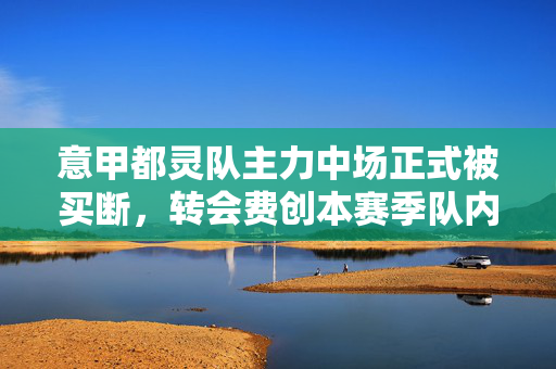 意甲都灵队主力中场正式被买断，转会费创本赛季队内新高，意甲都灵主力中场被买断 转会费创队内赛季新高