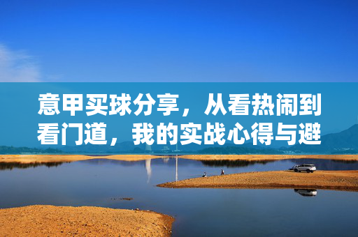 意甲买球分享，从看热闹到看门道，我的实战心得与避坑指南，意甲买球，从看热闹到看门道的实战心得与避坑指南