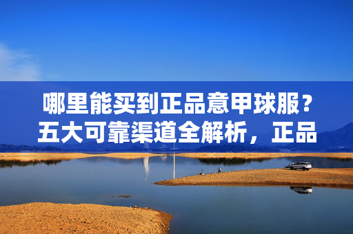 哪里能买到正品意甲球服？五大可靠渠道全解析，正品意甲球服五大可靠购买渠道全解析
