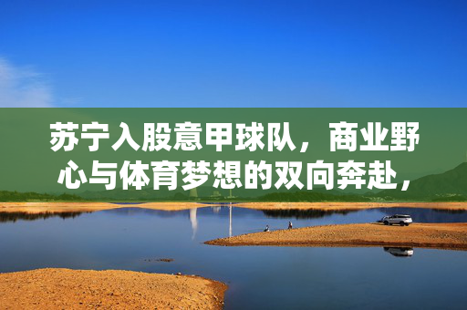 苏宁入股意甲球队，商业野心与体育梦想的双向奔赴，苏宁入股意甲球队，商业野心与体育梦想的双向奔赴
