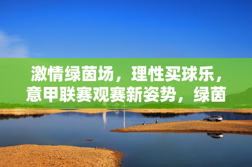 激情绿茵场，理性买球乐，意甲联赛观赛新姿势，绿茵激情，理性买球，意甲观赛新姿势