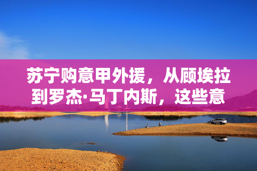 苏宁购意甲外援，从顾埃拉到罗杰·马丁内斯，这些意甲味引援花了多少钱？苏宁购意甲外援顾埃拉、罗杰·马丁内斯，引援花费多少？