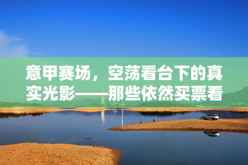 意甲赛场,空荡看台下的真实光影——那些依然买票看球的球迷,空荡看台下的真实光影,意甲依然买票的球迷