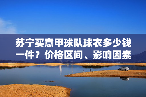 苏宁买意甲球队球衣多少钱一件？价格区间、影响因素及选购指南，苏宁意甲球队球衣价格区间、影响因素及选购指南