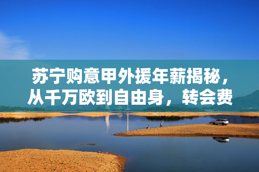 苏宁购意甲外援年薪揭秘，从千万欧到自由身，转会费与薪资背后的足球经济学，苏宁意甲外援年薪转会费探秘，千万欧到自由身的足球经济学